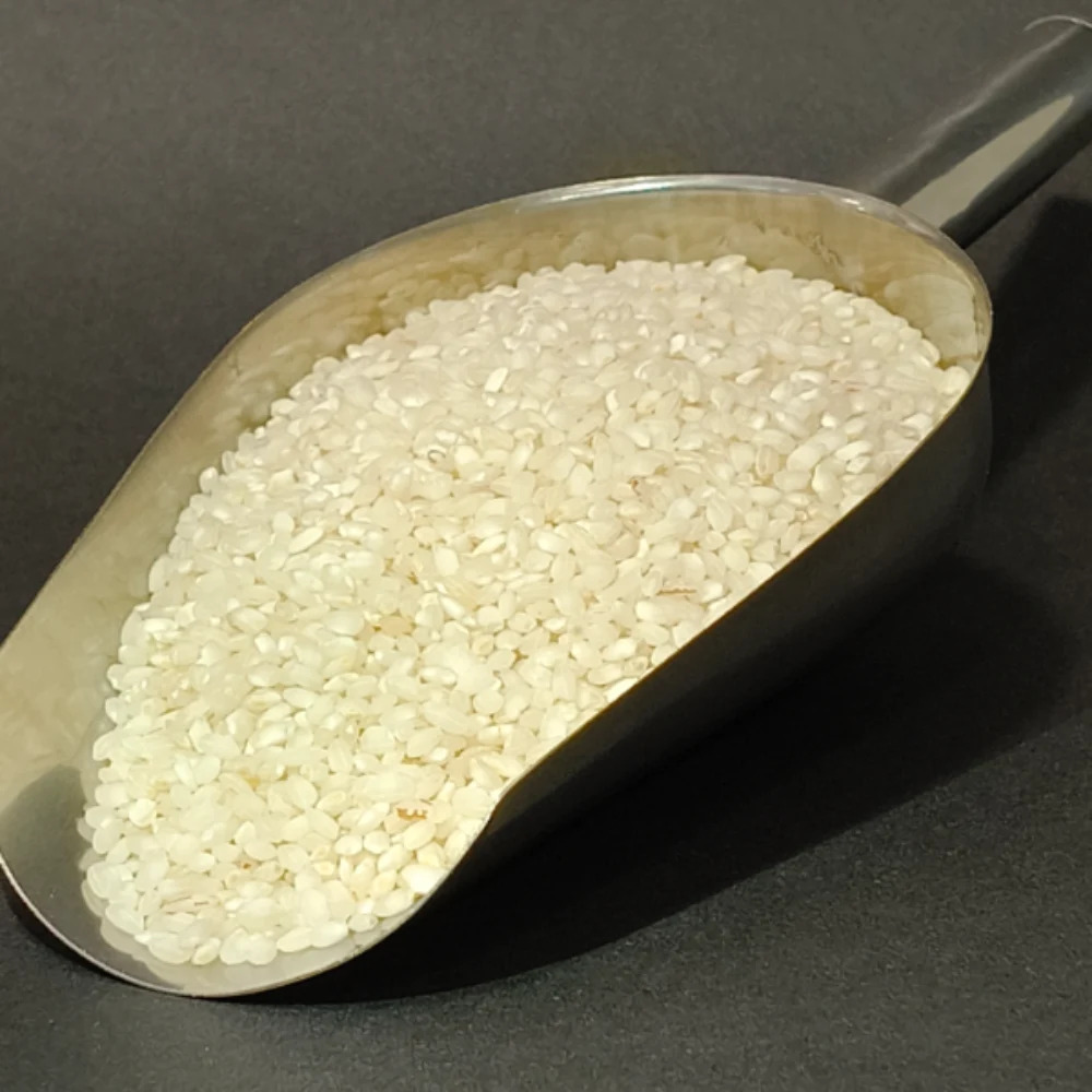 Arroz Bomba